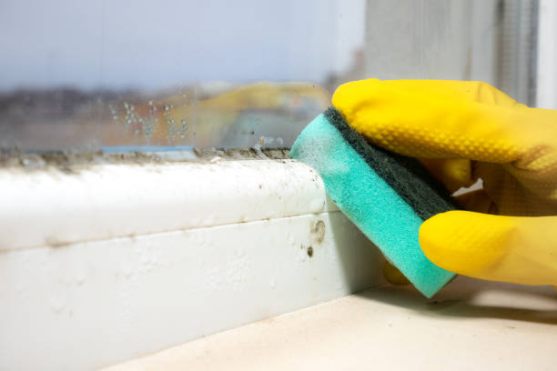 Ramtown, NJ Mold Remediation Company